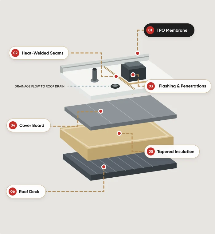 Commercial TPO roof assembly with membrane, flashing, insulation, roof deck, and drainage